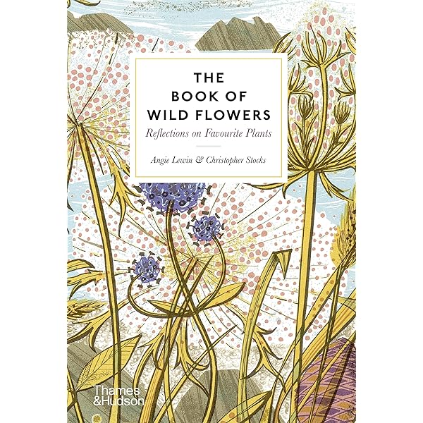 【希少】Angie Lewinアート集 Plants and Places 美品 Amazon.com: Angie Lewin: Plants and Places: 9781858945361